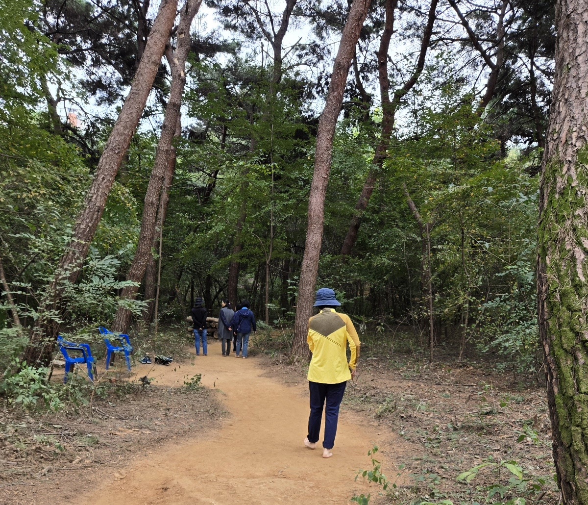 숲속길 맨발걷기 운동