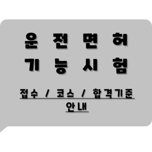 운전면허기능시험