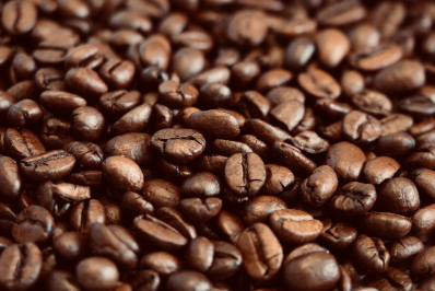 커피 한 잔이 세계 경제와 환경에 미치는 영향