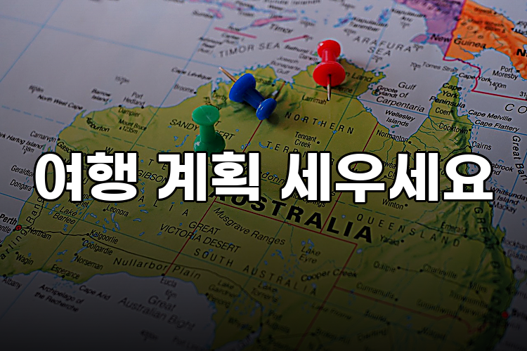 여행 계획 세우세요