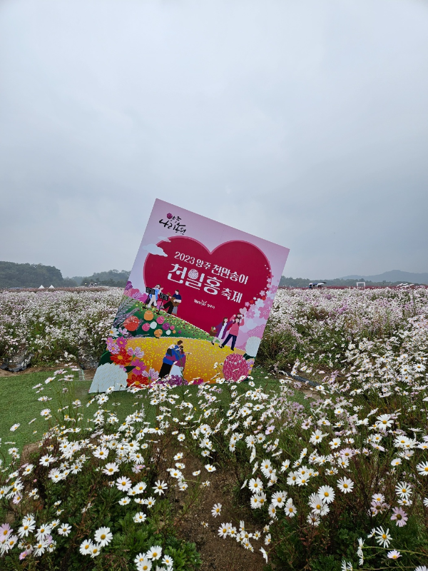 나리공원 꽃축제