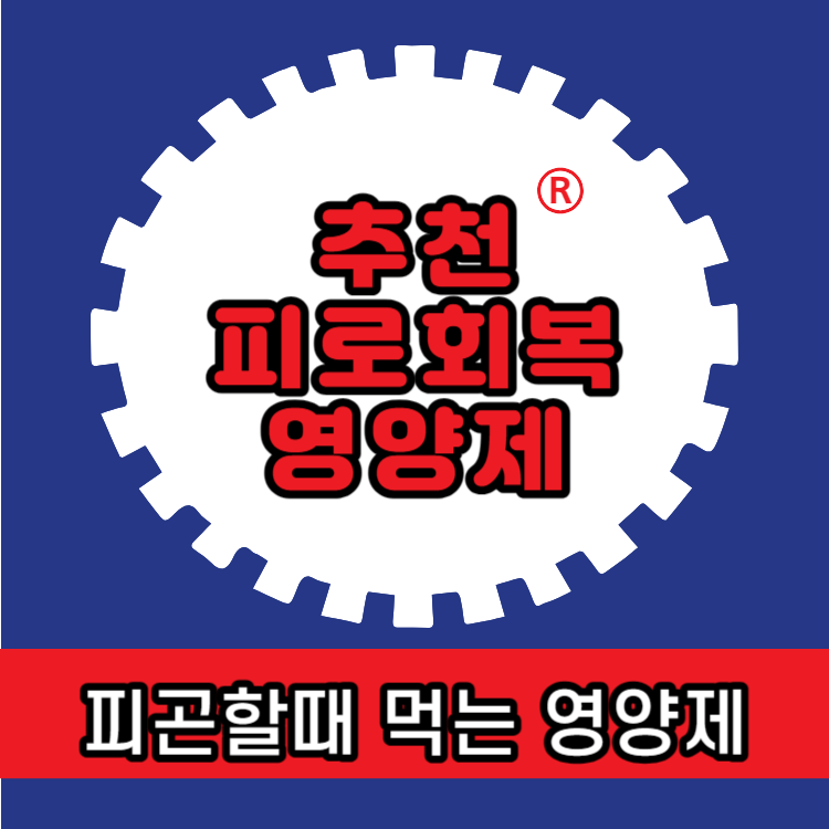 피로회복 영양제 추천