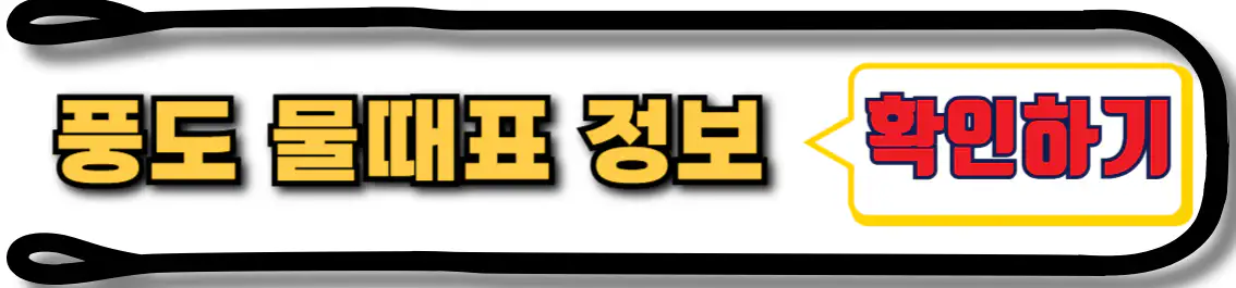 풍도 물때표
