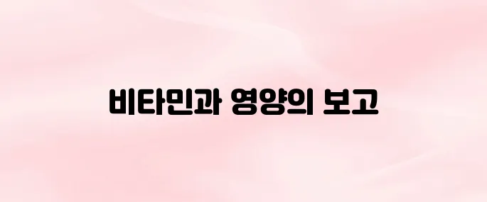 비타민나무(씨벅톤)의 효능 – 피부·면역력 강화에 좋은 이유