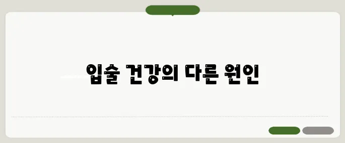 입술이 부르트는 이유 비타민 부족 아닐 수도