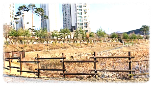 충주시민의숲