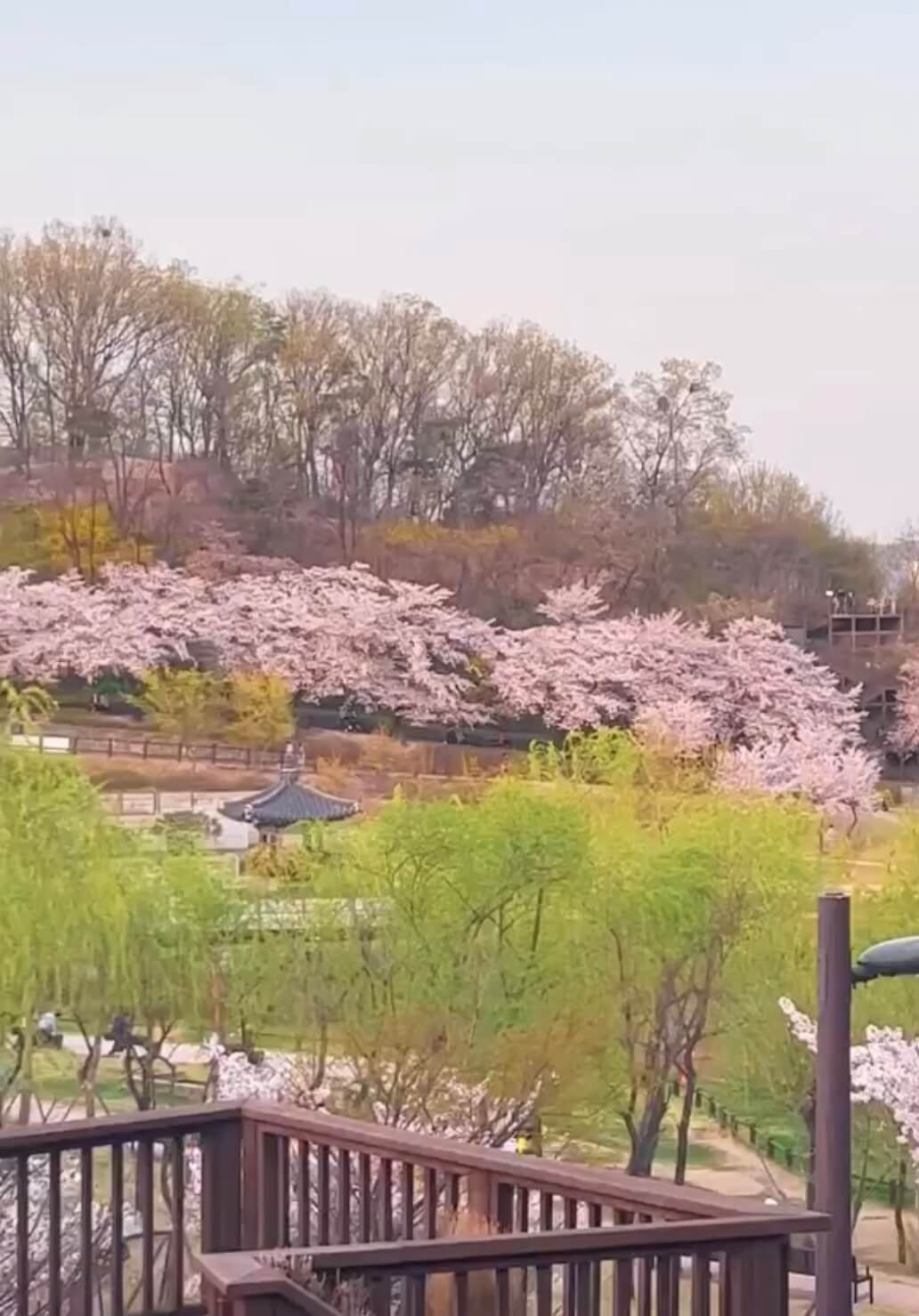 북서울꿈의숲 관련사진