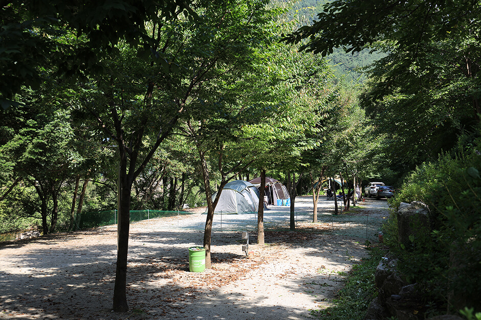 봉화 가볼만한곳 베스트 10