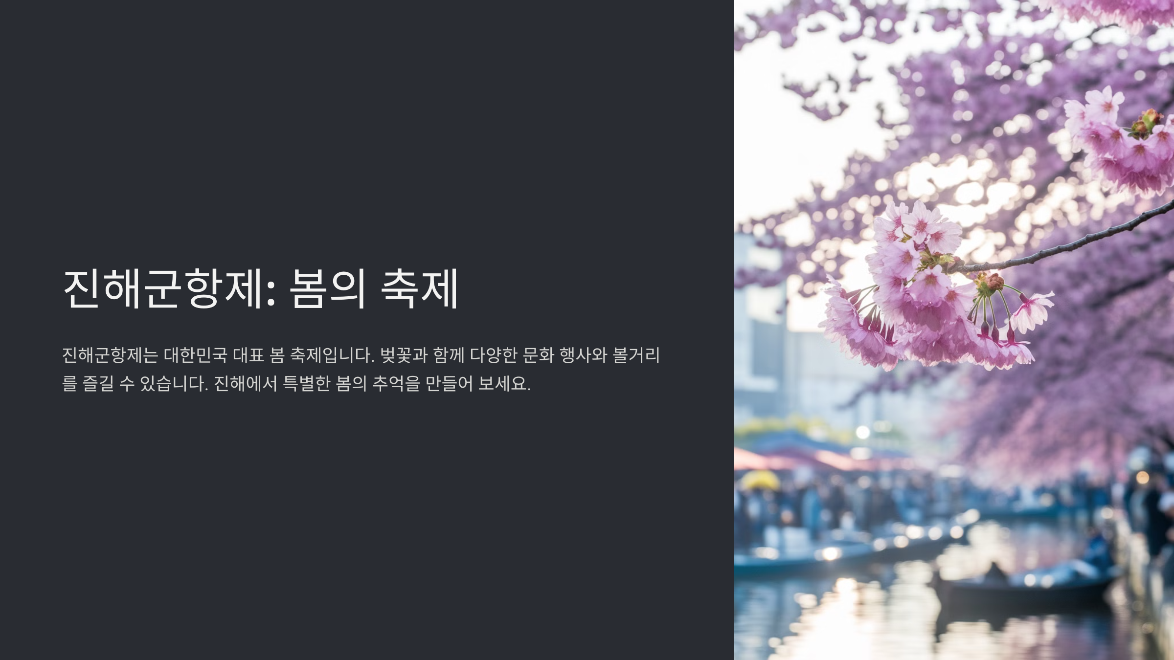 2025년 진해군항제, 벚꽃의 향연 속으로!