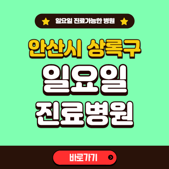 안산시 상록구 일요일 진료 가능한 병원 ❘ 주말 문여는 곳 총정리 (소아과, 내과, 안과, 치과, 피부과, 정형외과, 산부인과)