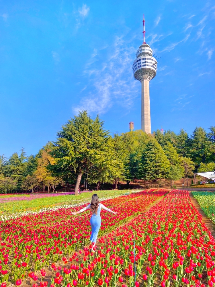 대구 이월드 튤립 축제