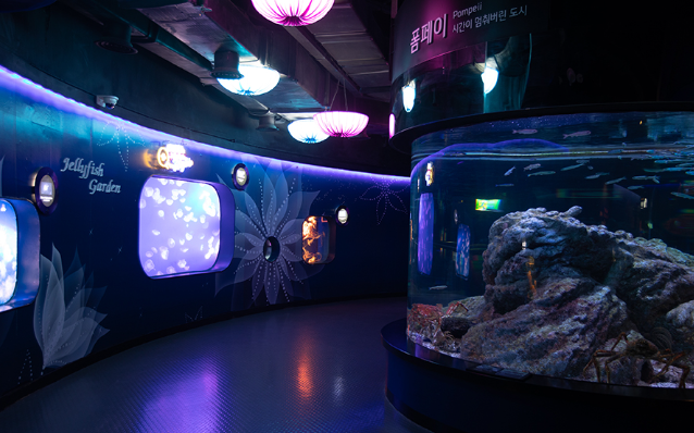 가볼 만한 아쿠아 카페 5곳 소개
