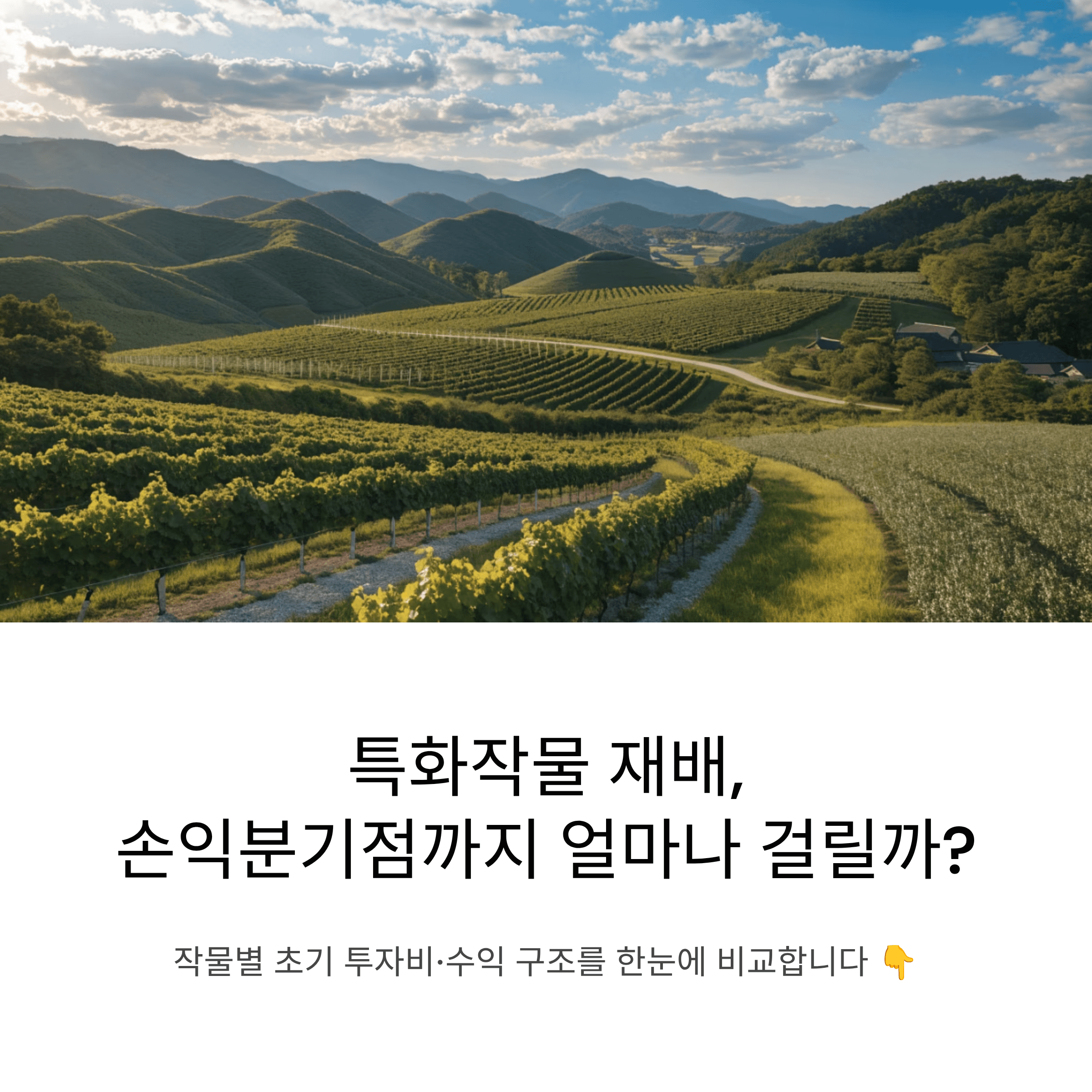특화작물 종류별 손익분기점까지 걸리는 기간과 수익 구조 한눈에 정리