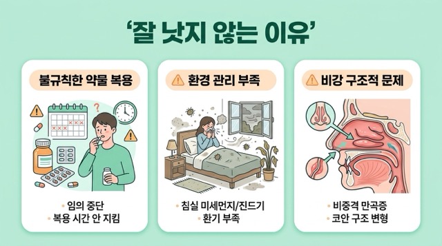 비염약 항히스타민제 비강 스테로이드제 혈관수축제 스프레이 차이