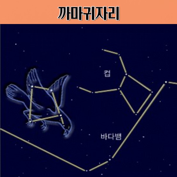 봄하늘의 까마귀자리