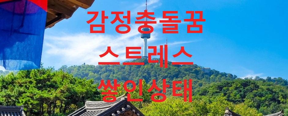 꿈과건강