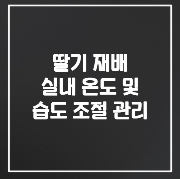 딸기 재배 실내 온도