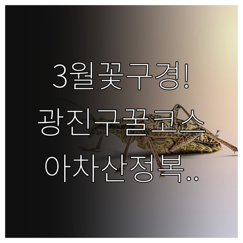 3월 광진구 나들이 코스 어린이대공원..