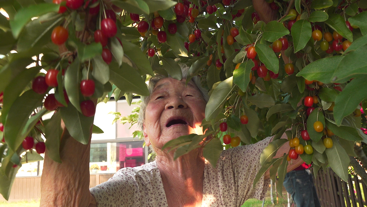 🌟 인간극장 "아흔아홉 울엄마는 못 말려" 4부 심층분석 - 2025년 7월 31일 방송 완전정복! 💖