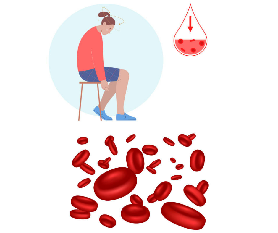 엽산 효능 빈혈개선 및 혈관 건강