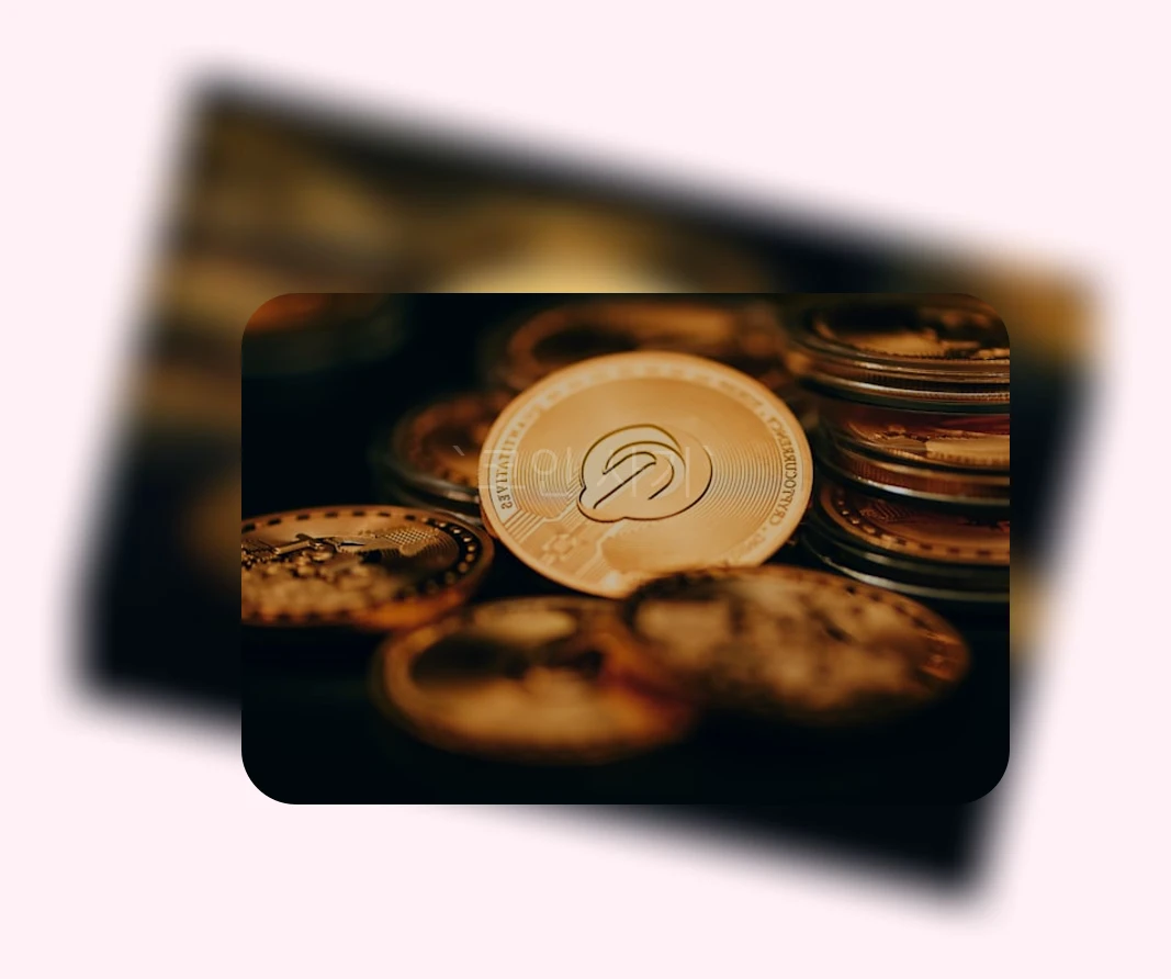 코인 사기_1_subsection