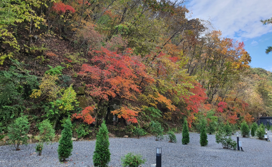 경기-포천-산정호수-돌고래캠핑장-사진-입니다.