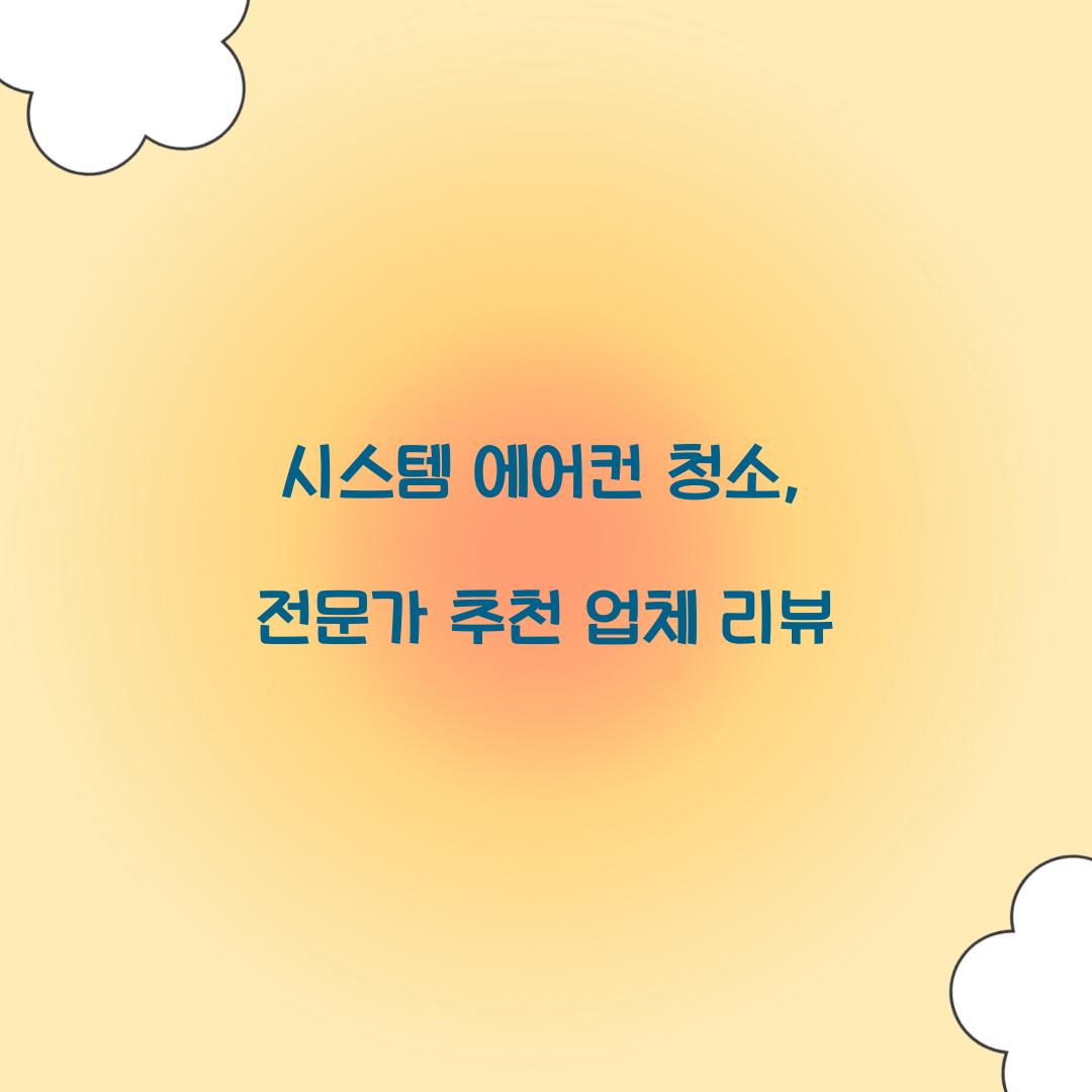 시스템 에어컨 청소
