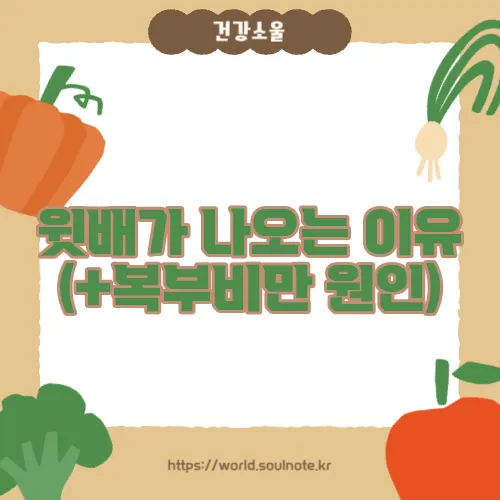 윗배가 나오는 이유 (+복부비만 원인)
