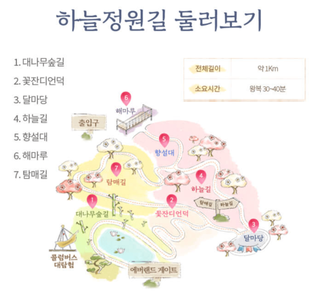 에버랜드 하늘정원길 실시간 개화현황 후기 주차장 예매변경 팁