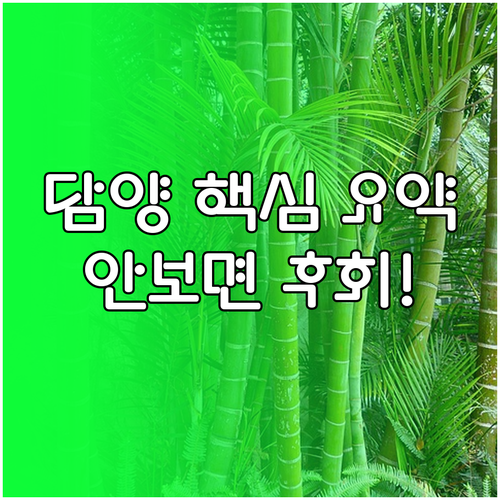 3남 담양 가볼만한곳 죽녹원 관방제림..