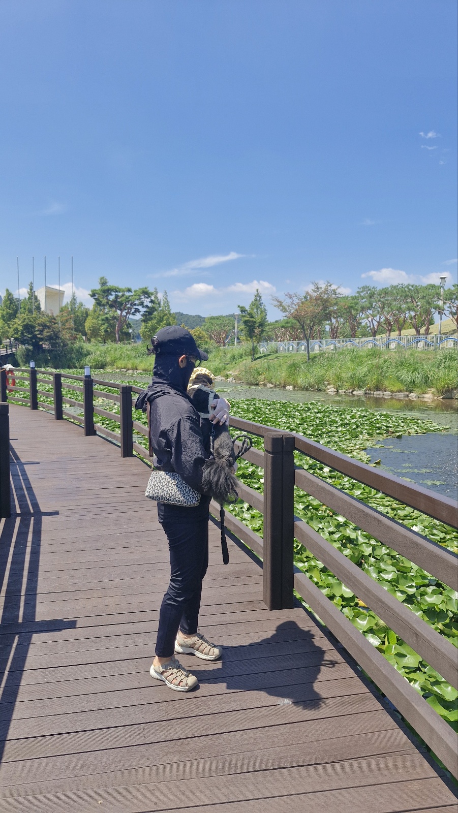 강아지가 가장 사랑하는 사람에게만 보이는 행동 11가지 (실제 후기형)