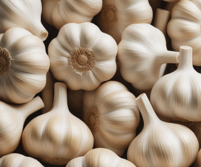 마늘 효능