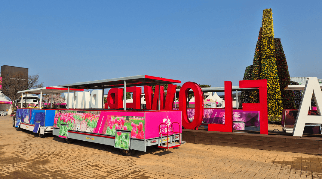 2024 태안 튤립축제