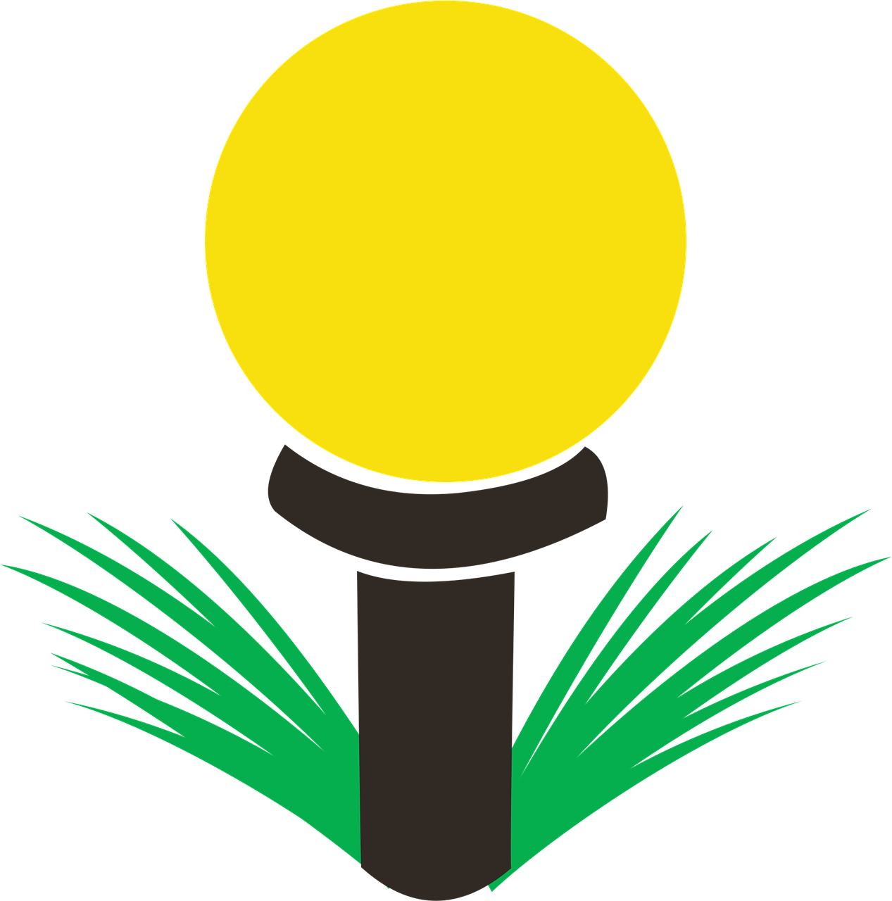 테니스엘보 vs 골프엘보, 차이점과 통증 부위 완벽 가이드