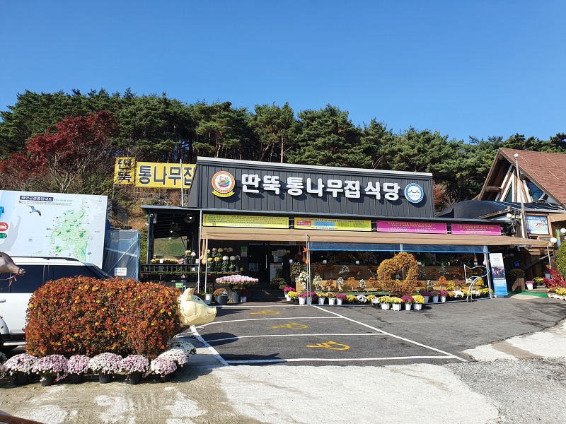 딴뚝통나무식당