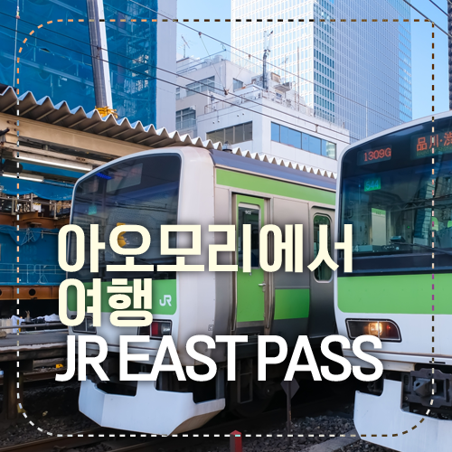 JR EAST PASS 패스
