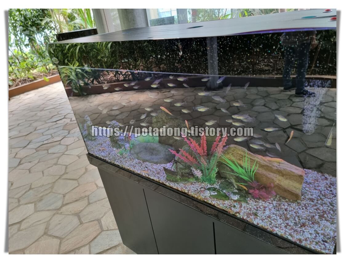 동천자연식물원