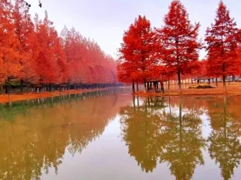 담양 맛집 베스트10 진짜 현지인만 아는곳_13