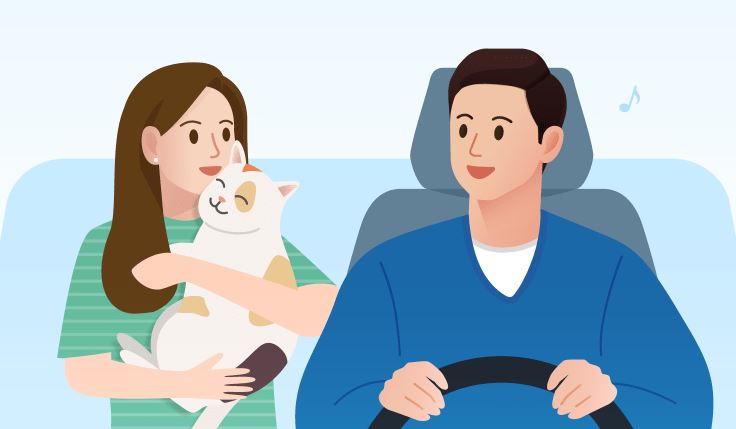 카카오T 펫 메이트