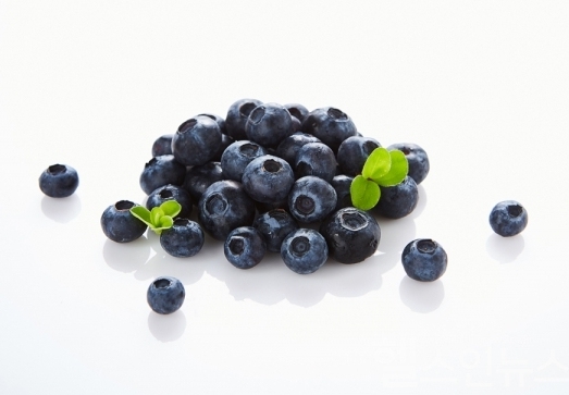 중성지방 낮추는 음식