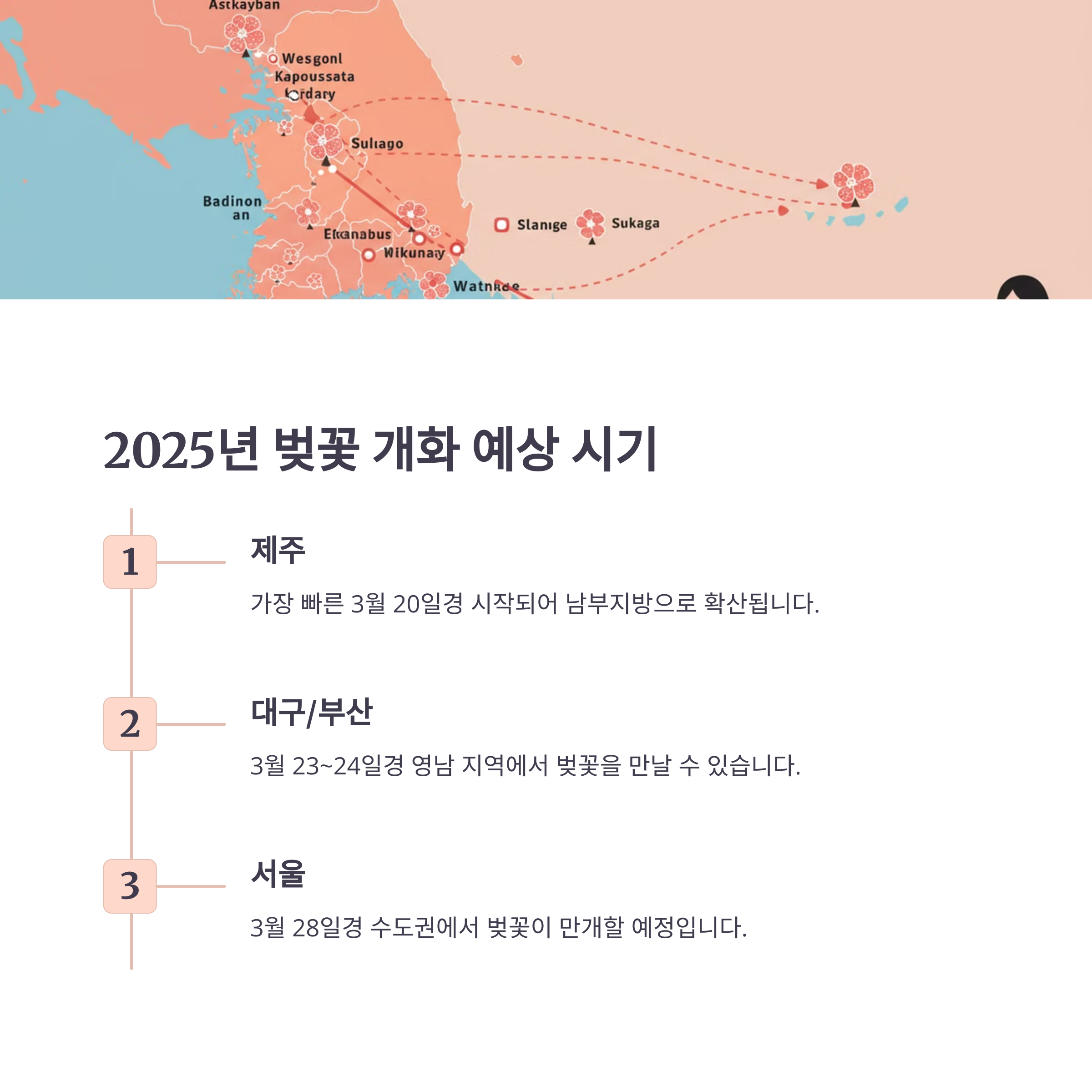 2025년 벚꽃 개화 예상 시기