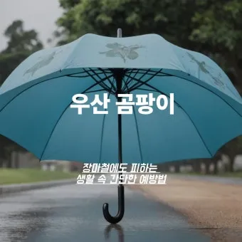 우산 곰팡이 건조 방법과 보관 팁 방습제 활용_3