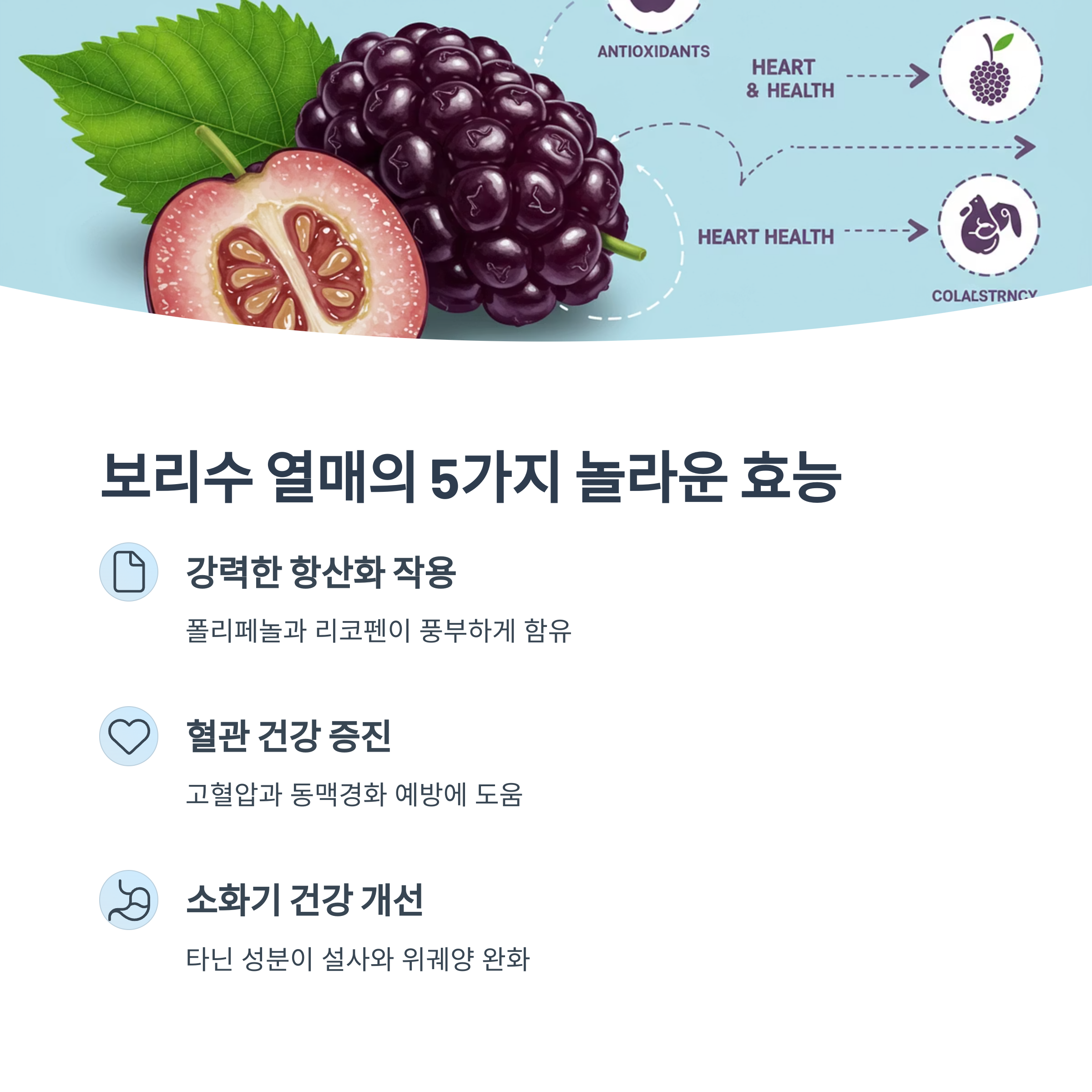 보리수 열매의 5가지 효능