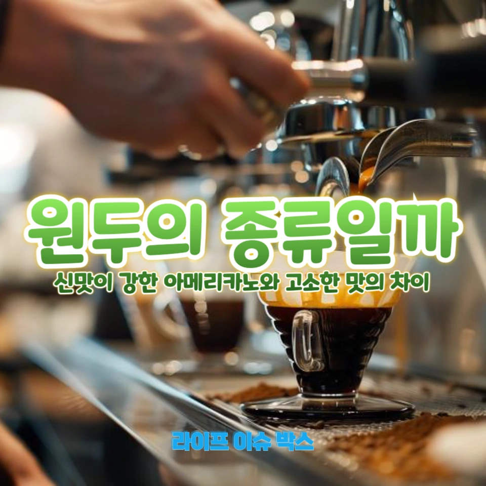원두와 로스팅의 비밀