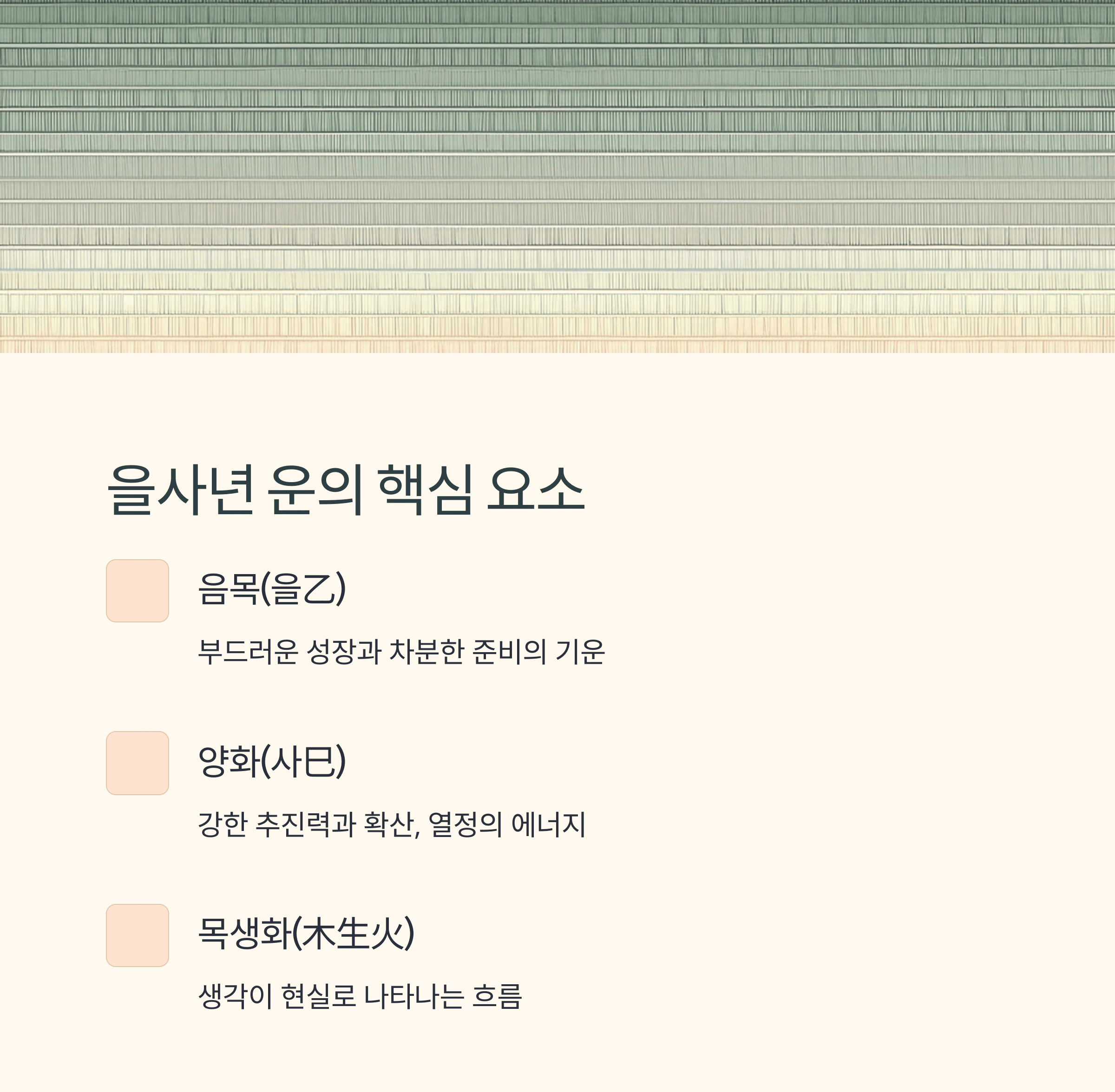 을사년 운의 핵심요소