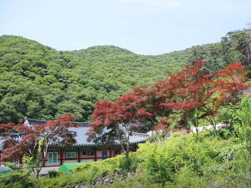 두타산