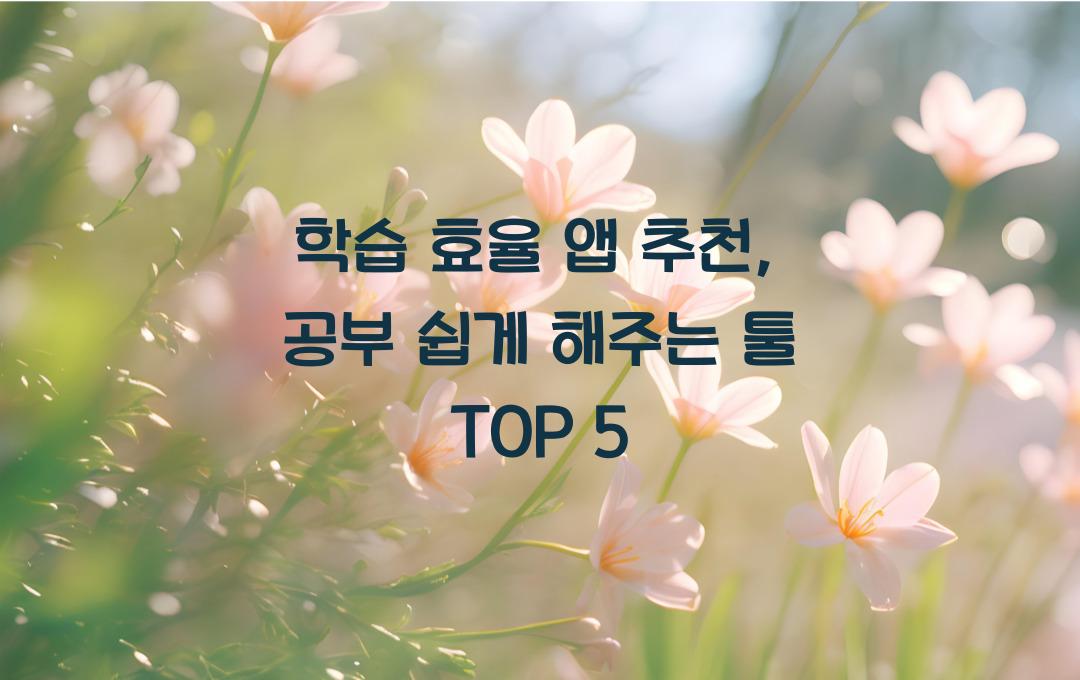 학습 효율 앱 추천: 공부를 쉽게 만들어주는 툴 TOP 5
