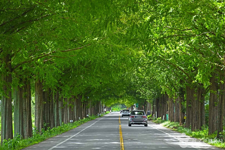 곡성 가볼만한곳 베스트10