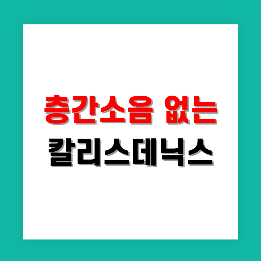 아파트 층간소음 없이 할 수 있는 칼리스데닉스