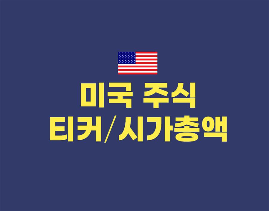 미국주식 티커 시가총액